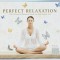 Various Artists – Perfect Relaxation