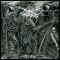 Darkthrone – Old Star
