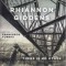 Rhiannon Giddens With Francesco Turrisi – There Is No Other