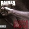 Pantera – Vulgar Display Of Power