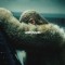 Beyonce – Lemonade