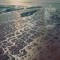 Fleet Foxes – Shore