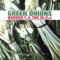 Booker T. & The MG’s – Green Onions