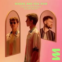 Lost Frequencies & Calum Scott – Where Are You Now