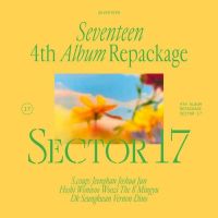 Seventeen – Sector 17