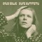 David Bowie – A Divine Symmetry (An Alternative Journey Through Hunky Dory)