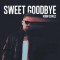 Robin Schulz – Sweet Goodbye