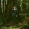 David Kushner – Daylight
