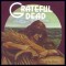 Grateful Dead – Wake Of The Flood