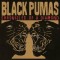 Black Pumas – Chronicles Of A Diamond