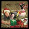 Eagles Of Death Metal – Eagles Of Death Metal Presents A Boots Electric Christmas