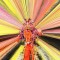 David Byrne Feat. Ghost Train Orchestra – Everybody Laughs
