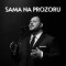 Mate Grgat – Sama na prozoru