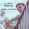 Martin Kosovec – Majko da li znaš