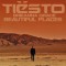 Tiesto With Brieanna Grace – Beautiful Places