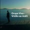 Grupa Viva – Vridilo se molit