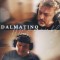 Dalmatino – Moja si najveća bol
