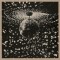 Neil Young – Mirror Ball