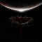 Muse – The Wow! Signal